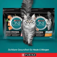 PURINA ONE High Protein su vištiena, sausas maistas katėms