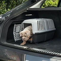 Lionto Transportbox aus Kunststoff, anthrazit