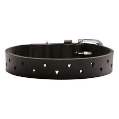 HUNTER antkaklis šunims Aalborg soul, Dydis: XS, Spalva: juoda, Kaklo apimtis: 21 - 25 cm, Plotis: 1,5 cm — 3 nuotrauka