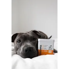 DOGSLIFE ausų valymo servetėlės - antpirščiai augintiniams, 50 vnt. — 5 nuotrauka