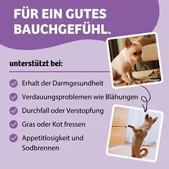 BugBell BugKeks Belly Vital virškinimui ir žarnyno florai, skanėstai šunims — 5 nuotrauka