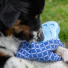 CoolPets vėsinantis žaislas šunims, Pingvinas — 2 nuotrauka