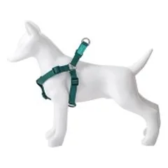 Petnešos Basic Nylon A-Type, žalios, 20 mm x 51-70 cm — 2 nuotrauka