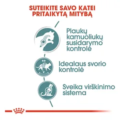 ROYAL CANIN FCN Hairball care in gravy konservai suaugusioms katėms nuo plaukų kamuoliukų susidarymo skrandyje 12x85 g — 3 nuotrauka