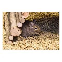Bunny Bedding Cosy, Bunny Bedding Cosy 20 l — 2 nuotrauka