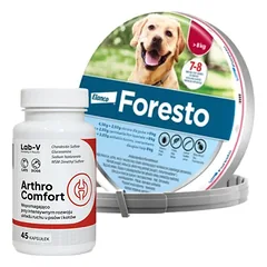 ELANCO Foresto Antkaklis šunims virš 8kg + LAB-V Arthro Comfort - Visapusiška sąnarių ir raumenų bei skeleto sistemos sveikata šunims ir katėms 45 kapsulės
