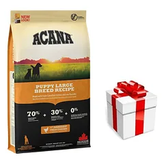 ACANA HERITAGE Puppy Large Breed 11,4kg + STAIGMENA ŠUNIUI