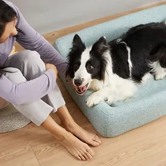 Petkit guolis šunims Four Season, šviesiai mėlynas, Vidutiniams 11–25 kg — 4 nuotrauka