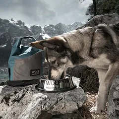 Wolf of Wilderness maišelis maistui