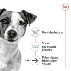 Royal Canin Mini Ageing 12+ sausas maistas šunims, 3 - 4,9 kg — 3 nuotrauka