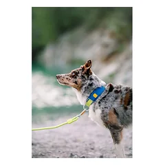 Woolly Wolf Alpha 360 Collar Deep Teal Mix antkaklis šunims iš perdirbto plastiko, M — 2 nuotrauka