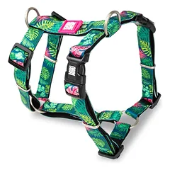 Max&Molly H - Tropical Harness - spalvingi reguliuojami diržai šunims ir šuniukams — 4 nuotrauka