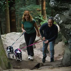 Ruffwear petnešos Hi & Light, Alpen Glow Pink, Labai mažiems < 4 kg — 5 nuotrauka
