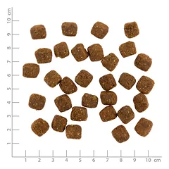 PRIMUM sausas maistas suaugusiems šunims su minkšta vištiena ir bulvėmis, 5 kg — 2 nuotrauka