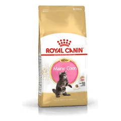 Royal Canin Maine Coon Kitten sausas pašaras kačiukams - Pet24