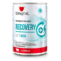 Disugual Veterinary RECOVERY Lamb drėgnas ėrienos ėdalas šunims (suaugusiems) 400g