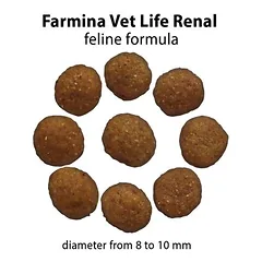Farmina Vet Life Renal Feline, sausas maistas katėms — 3 nuotrauka