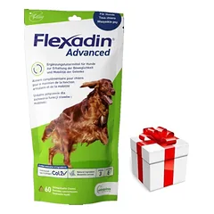 VETOQUINOL Flexadin Advanced 60 kąsnių + Staigmena ŠUNIUI