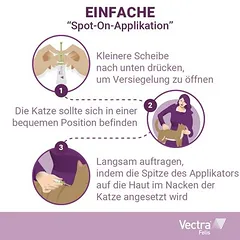 Vectra Felis katėms, Dideliems > 5 kg — 3 nuotrauka