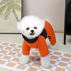 PAW COUTURE gyvūnų augintinių kombinezonas, juodas/oranžinis