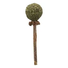 Trixie Matatabi Lolly 11 cm parduotuvėje petreon.lt