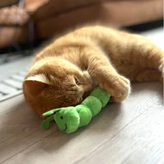 Aumüller Katzenspielkissen Raupe Pedro
