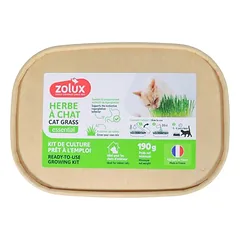 Zolux Katzengras