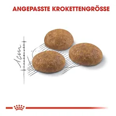 Royal Canin Outdoor, > 10 kg — 5 nuotrauka