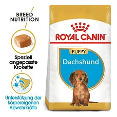 Royal Canin Dachshund Puppy