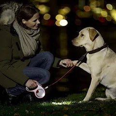 FLEXI LED lighting system automatinių pavadėlių žibintuvėlis, pilkas — 2 nuotrauka