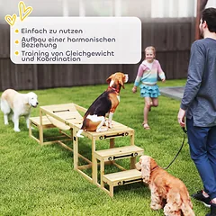 Agility rinkinys 3 vnt. — 5 nuotrauka