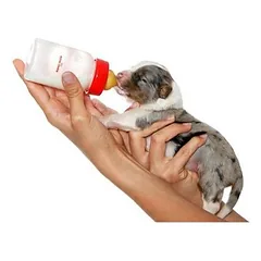 Royal Canin Puppy PRO Tech 300 g — 3 nuotrauka