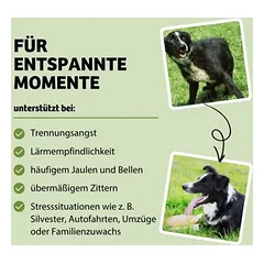 BugBell Magic Relax, < 1,4 kg — 2 nuotrauka