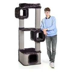 Canadian Cat Company Kratzbaum OTTAWA