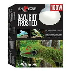 Repti Planet Daylight Frosted Bulb 100 W