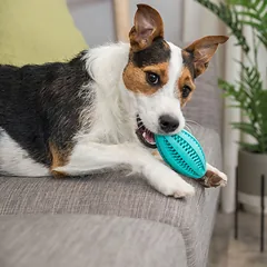 Trixie Denta Fun žaislas šunims regbio kamuolys, masažuoja dantenas, mėtų skonio