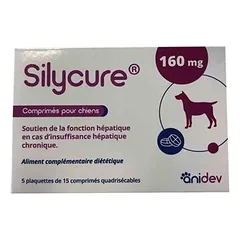 ANIDEV - SYLICURE 160MG - ANIDEV
