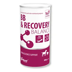 Vetfood BB & Recovery Balance - papildas šunims ir katėms, kurie yra sveikimo procese, 500g — 2 nuotrauka