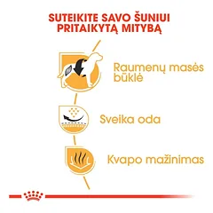 ROYAL CANIN French Bulldog Adult sausas pašaras šunims, BHN 1.5kg — 3 nuotrauka