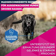 Eukanuba Premium Nutrition Mature Large & Giant Breed su vištiena, sausas maistas šunims — 3 nuotrauka