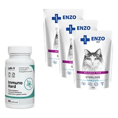 ENZO VET Sterilizuota dieta sterilizuotoms katėms su kalakutiena želė 3x100g + LAB-V Immuno Hard  45 kapsulės
