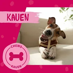Dokas Churros su jautienos kepenimis, saldžiosiomis bulvėmis ir miltiniais vabalais, skanėstai šunims — 5 nuotrauka