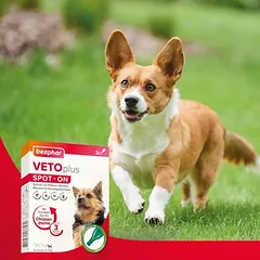 beaphar VETOplus SPOT-ON mažiems šunims, Labai mažiems < 4 kg — 2 nuotrauka