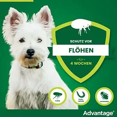 Advantage® 40 für Hunde, bis 4 kg