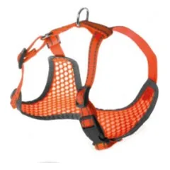 Petnešos Pettorine 32-40x32-45cm