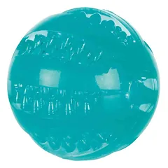 Trixie Denta Fun Ball dantų priežiūros žaislas šunims iš termoplastiko (TPR), ø 6 cm