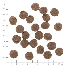 WOLFSBLUT VetLine Hypoallergenic dietinis pašaras suaugusiems alergiškiems šunims, 2 kg — 3 nuotrauka