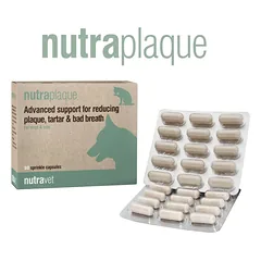 NUTRAVET Nutraplaque šunims ir katėms 60 kapsulių - Pažangi pagalba mažinant apnašas, dantų akmenis ir blogą burnos kvapą 