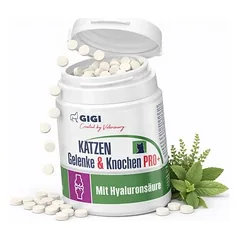 Katzen Gelenke & Knochen PRO+ Gelenktabletten mit Hyaluronsäure GIGI VET