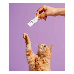 Amanova Cat Creamy Treats Creamy Ocean skanėstai katėms 6 x 15 g — 3 nuotrauka